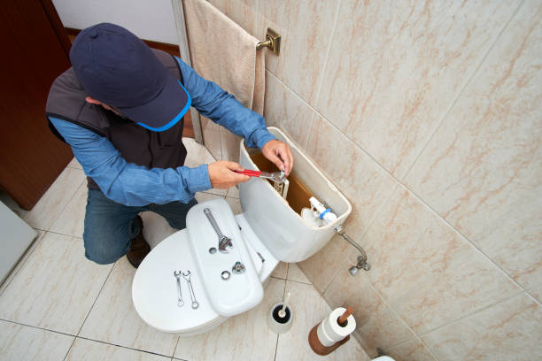 Best Clogged Drain Plumber  in Somerville, TN